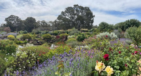 River Gardens Axedale Pet Friendly Farmstay B&B - Perths Hotel 0