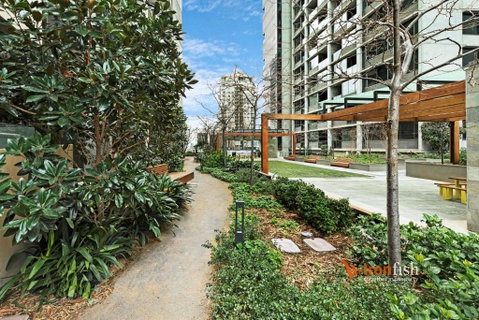 Sakura Apartment - Perths Hotel 3