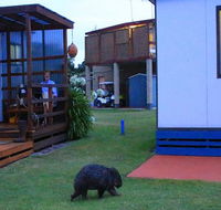 BIG4 Kelso Sands Holiday  Native Wildlife Park - Perths Hotel