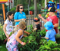 Book Lemon Tree Passage Accommodation Vacations Perths Hotel Perths Hotel