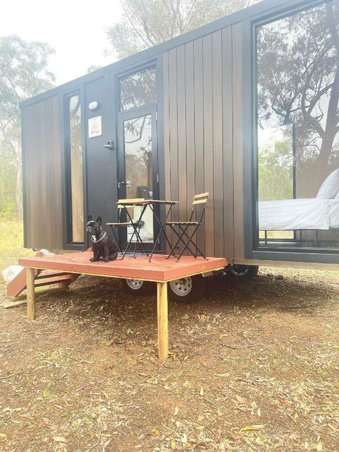 Whispering Wallaby By Tiny Away - Perths Hotel 1