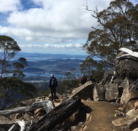 kunanyi / Mt Wellington Explorer Bus - 2 Hour Return Tour - Perths Hotel