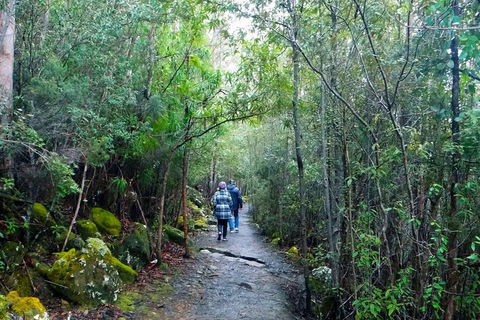 Kunanyi/Mt Wellington Tour & Hobart Hop-On Hop-Off Bus - Perths Hotel 1