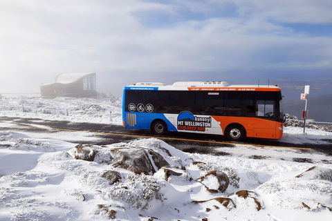Kunanyi/Mt Wellington Tour & Hobart Hop-On Hop-Off Bus - Perths Hotel 2