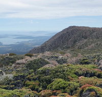 kunanyi/Mt Wellington Explorer Bus - One Way Tour - Perths Hotel