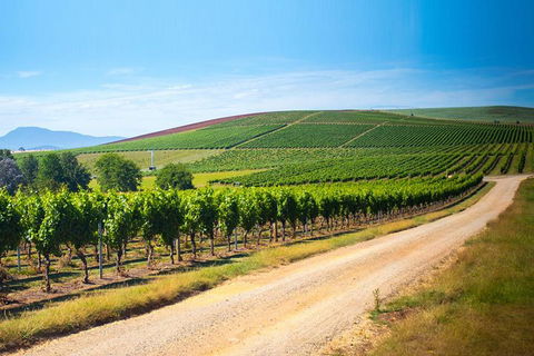 Full Day Tamar Valley Wine Tour - Perths Hotel 1