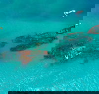 Private Tangalooma Wrecks Tour - Perths Hotel