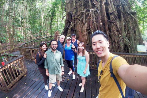 Cairns 4WD Waterfall And Rainforest Tour Including Kuranda Scenic Railway - Perths Hotel 0