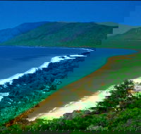 Cairns Reef and Rainforest Combo Daintree Rainforest and the Great Barrier Reef - Perths Hotel