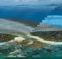 4-Day Cairns with Great Barrier Reef and Daintree Rainforest - Perths Hotel
