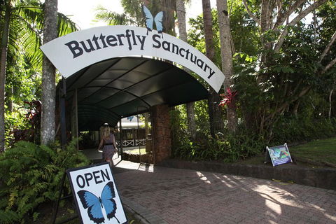 Kuranda Day Trip From Port Douglas Upgrade To Skyrail & Scenic Train Available - Perths Hotel 0