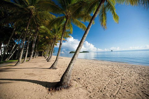 Kuranda Day Trip From Port Douglas Upgrade To Skyrail & Scenic Train Available - Perths Hotel 1
