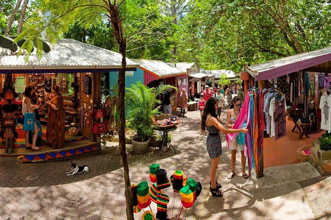 Kuranda Day Trip From Port Douglas Upgrade To Skyrail & Scenic Train Available - Perths Hotel 2