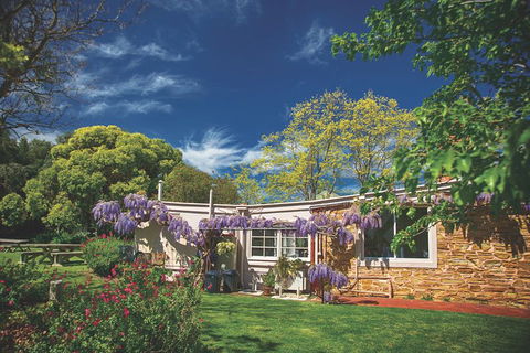 McLaren Vale Winery Small Group Tour With Wine Tasting And Lunch - Perths Hotel 2