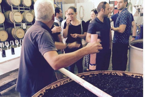 Luxury Private Mclaren Vale Wine Tour - Perths Hotel 4