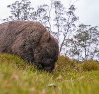 3-Day Cradle Mountain Photography Workshop - Perths Hotel