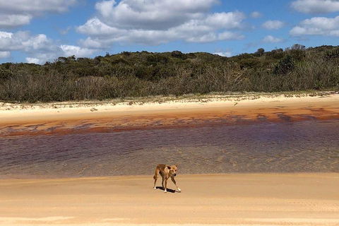 Pippies 3 Days 2 Nights Fraser Island Tour - Perths Hotel 2