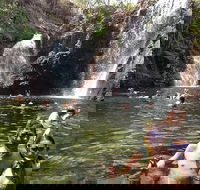 Litchfield National Park and Jumping Crocodile Cruise - Perths Hotel