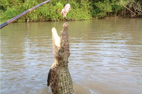 Litchfield National Park And Jumping Crocodile Cruise - Perths Hotel 2