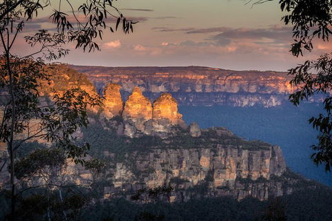Private Blue Mountains Tour With Kangaroo And Koala Experience - Perths Hotel 1