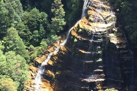 Private Blue Mountains Tour With Kangaroo And Koala Experience - Perths Hotel 5
