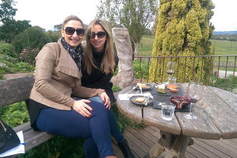 McLaren Vale Intimate Winery Tour By Private Limo - Perths Hotel 4