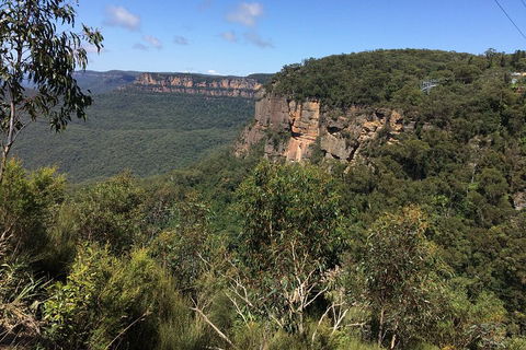 Full-Day Private Blue Mountains Tour With River Cruise - Perths Hotel 1