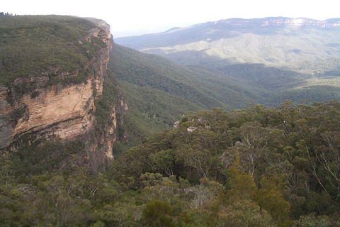 Full-Day Private Blue Mountains Tour With River Cruise - Perths Hotel 3