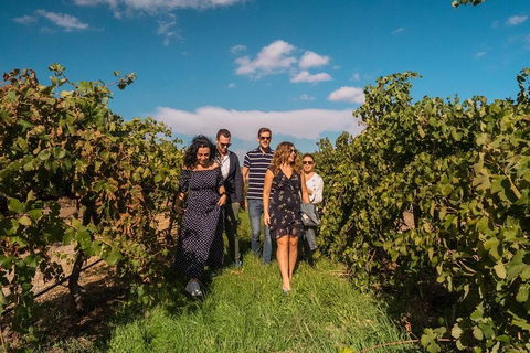 Barossa Valley Private Tour (from 2 To 11 People) - Perths Hotel 0