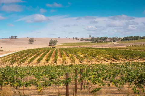 Barossa Valley Private Tour (from 2 To 11 People) - Perths Hotel 2