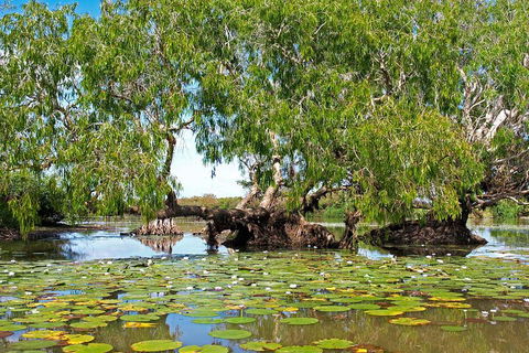 Ethical Adventures - Best In The WET - Litchfield / Kakadu 3 Day- Max 10 Guests - Perths Hotel 1