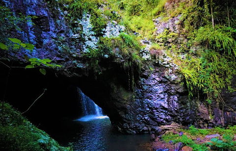 Rainforest & Waterfalls Extravaganza - Perths Hotel 5