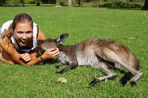 7-Day Tour In Sydney With Airport Pickup - Perths Hotel 4