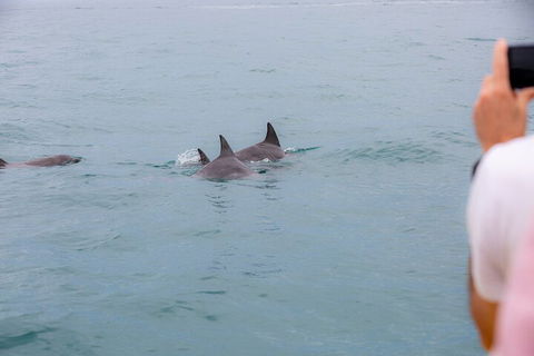 Noosa Oceanrider Scenic Dolphin Safari - Perths Hotel 2
