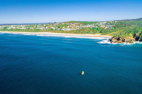 Noosa Oceanrider Scenic Dolphin Safari - Perths Hotel 4