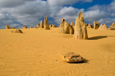 The Pinnacles, Sea And Dunescapes, Bush Reserve And Sunset Day Tour - Perths Hotel 0