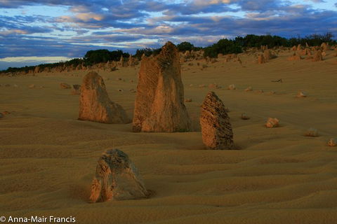The Pinnacles, Sea And Dunescapes, Bush Reserve And Sunset Day Tour - Perths Hotel 1