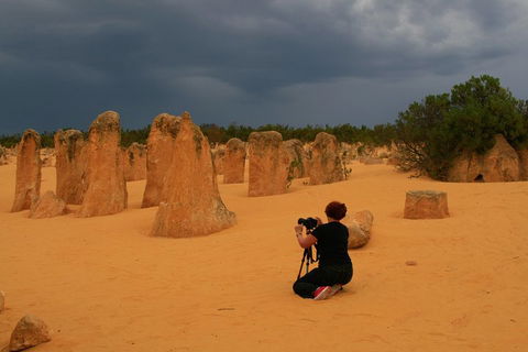 The Pinnacles, Sea And Dunescapes, Bush Reserve And Sunset Day Tour - Perths Hotel 2