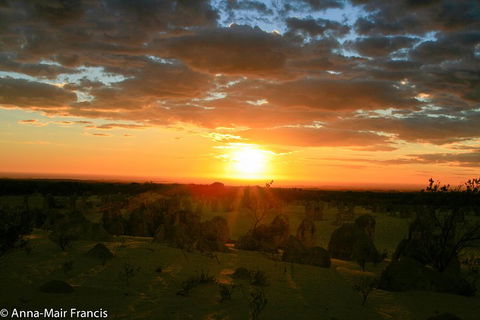 The Pinnacles, Sea And Dunescapes, Bush Reserve And Sunset Day Tour - Perths Hotel 3