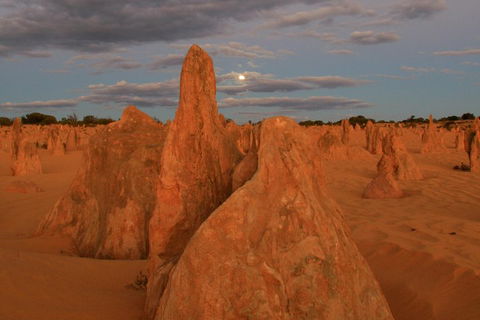 The Pinnacles, Sea And Dunescapes, Bush Reserve And Sunset Day Tour - Perths Hotel 4