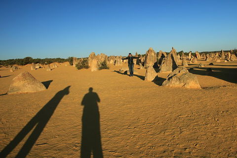 The Pinnacles, Sea And Dunescapes, Bush Reserve And Sunset Day Tour - Perths Hotel 5