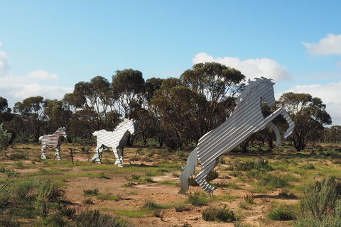 Wave Rock, Wild Flowers And Astro Photography - Perths Hotel 5