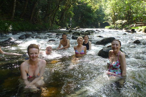 Daintree Rainforest, Cape Tribulation, Mossman Gorge Small-Group Day Tour - Perths Hotel 0