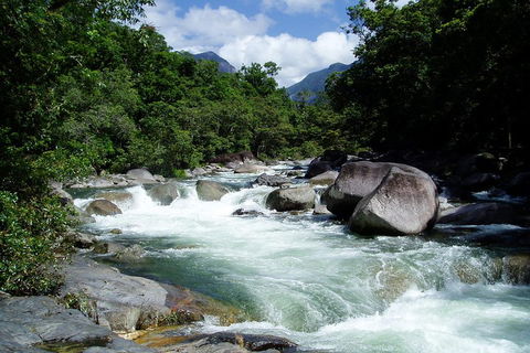 Daintree Rainforest, Cape Tribulation, Mossman Gorge Small-Group Day Tour - Perths Hotel 5