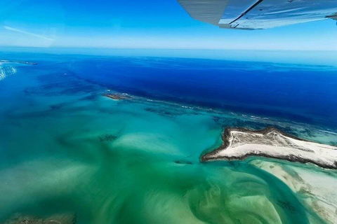 Wet Season Incredible Islands Tour - Horizontal Falls & Cygnet Bay Pearl Farm - Perths Hotel 4
