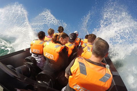 Noosa Thriller - 500hp Ocean Adventure Ride - Perths Hotel 4