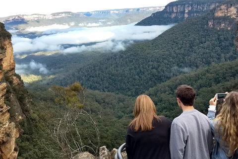 Blue Mountains Private Tour - Wild Kangaroos, Waterfalls And The Three Sisters - Perths Hotel 3