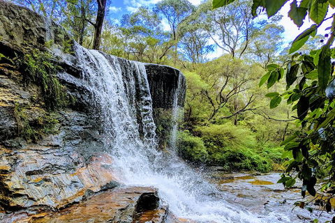 Blue Mountains Private Tour - Wild Kangaroos, Waterfalls And The Three Sisters - Perths Hotel 5