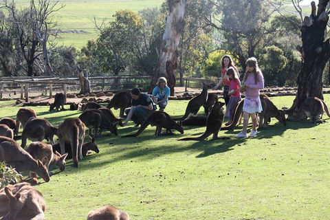 The Port Arthur MEGA Day Trip From Hobart - Perths Hotel 5