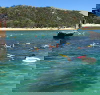 All Inclusive Dolphin and Tangalooma Wrecks Cruise - Perths Hotel
